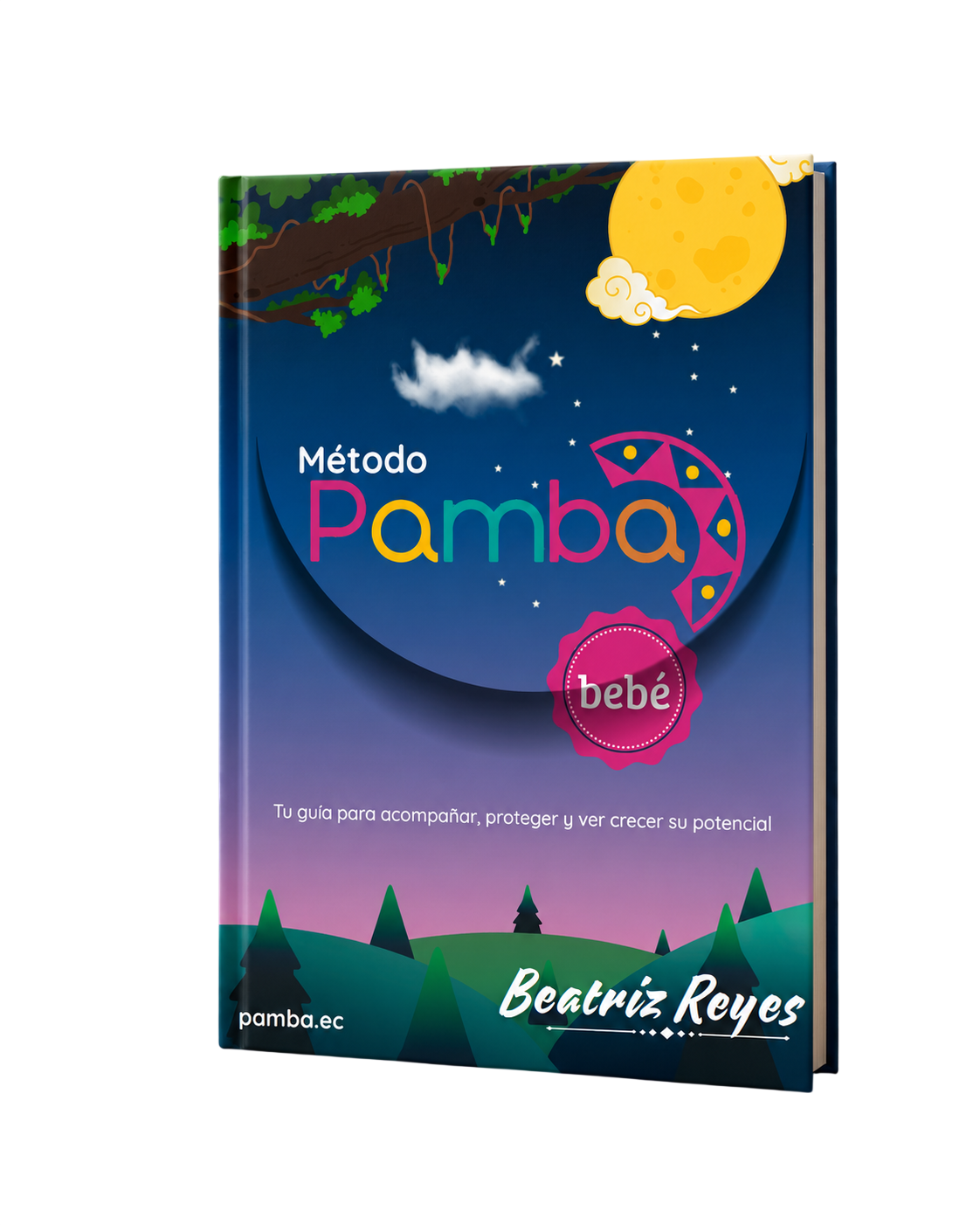 libro electronico neurodesarrollo infantil estimulación temprana bebé